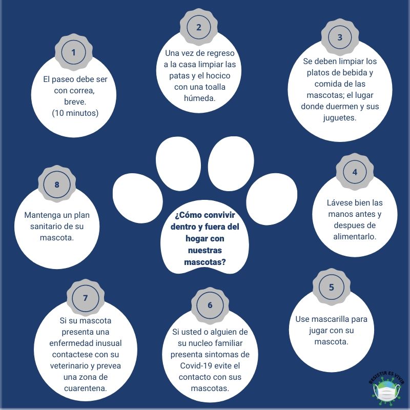 InDi_UPS's tweet photo. Cuidar de nuestros amigos peludos en estos tiempos es muy importante, por eso te presentamos ocho recomendaciones para mejorar la convivencia dentro y fuera del hogar con nuestras mascotas.
#ResistirEsVivir #covid19 #NosCuidamosTodos #UPSConectada
@upsalesiana @InDi_UPS https://t.co/yvDqd7tZ7f