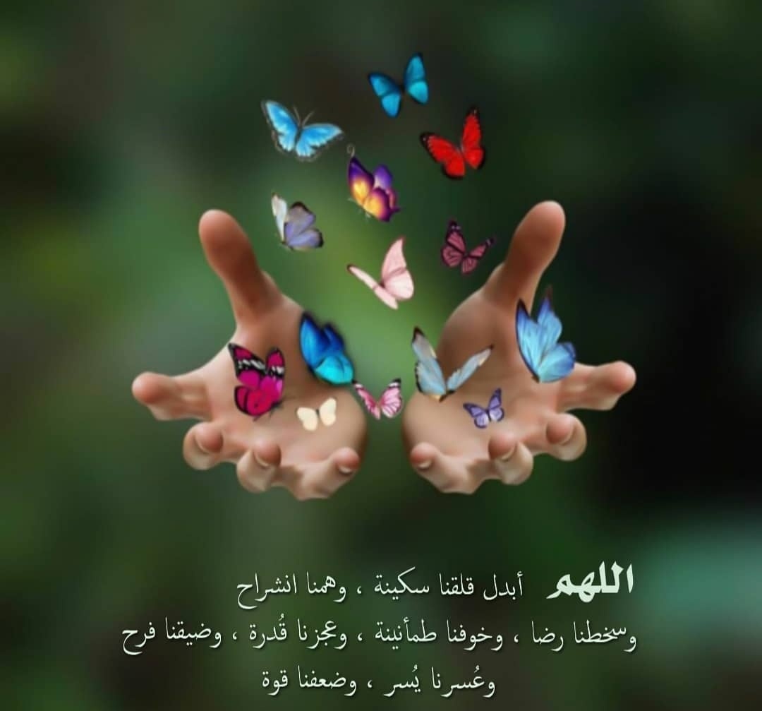 💚🇸🇦💚شووشوو🌷 (@k_aol2) on Twitter photo 🐣#بيض_فرز_مستمر🐣🐣
#فرز_ المسافرفهد
🐥<a href="/k_aol2/">💚🇸🇦💚شووشوو🌷</a>
🐥 <a href="/L_ool_oo/">🦋⚡👑♻️💥LoLo💥♻️👑⚡🦋</a>
🐥@ka___yan2020
🐥<a href="/yaef_988/">ابورندا اليافعي مسافر</a>
🐥@197_ame
🐥 <a href="/hada___k/">﮼غياب ﮼للظروف ﮼صحيه ﮼اعتذر ﮼للقروباتي</a>
🔥
✈️✈️
🐣@oo_us751 🐣
🐣@oo_us751🐣
✈️✈️
@fa_ha_d333
للانضمام 👆
💎
#قروب_المسافر_فهد
#دُعمۘ_ۖقرُوب_الۛأسۜودُ
#بدايات #فرز#اضافات 🐣#بيض_فرز_مستمر🐣🐣
#فرز_ المسافرفهد
🐥<a href="/k_aol2/">💚🇸🇦💚شووشوو🌷</a>
🐥 <a href="/L_ool_oo/">🦋⚡👑♻️💥LoLo💥♻️👑⚡🦋</a>
🐥@ka___yan2020
🐥<a href="/yaef_988/">ابورندا اليافعي مسافر</a>
🐥@197_ame
🐥 <a href="/hada___k/">﮼غياب ﮼للظروف ﮼صحيه ﮼اعتذر ﮼للقروباتي</a>
🔥
✈️✈️
🐣@oo_us751 🐣
🐣@oo_us751🐣
✈️✈️
@fa_ha_d333
للانضمام 👆
💎
#قروب_المسافر_فهد
#دُعمۘ_ۖقرُوب_الۛأسۜودُ
#بدايات #فرز#اضافات