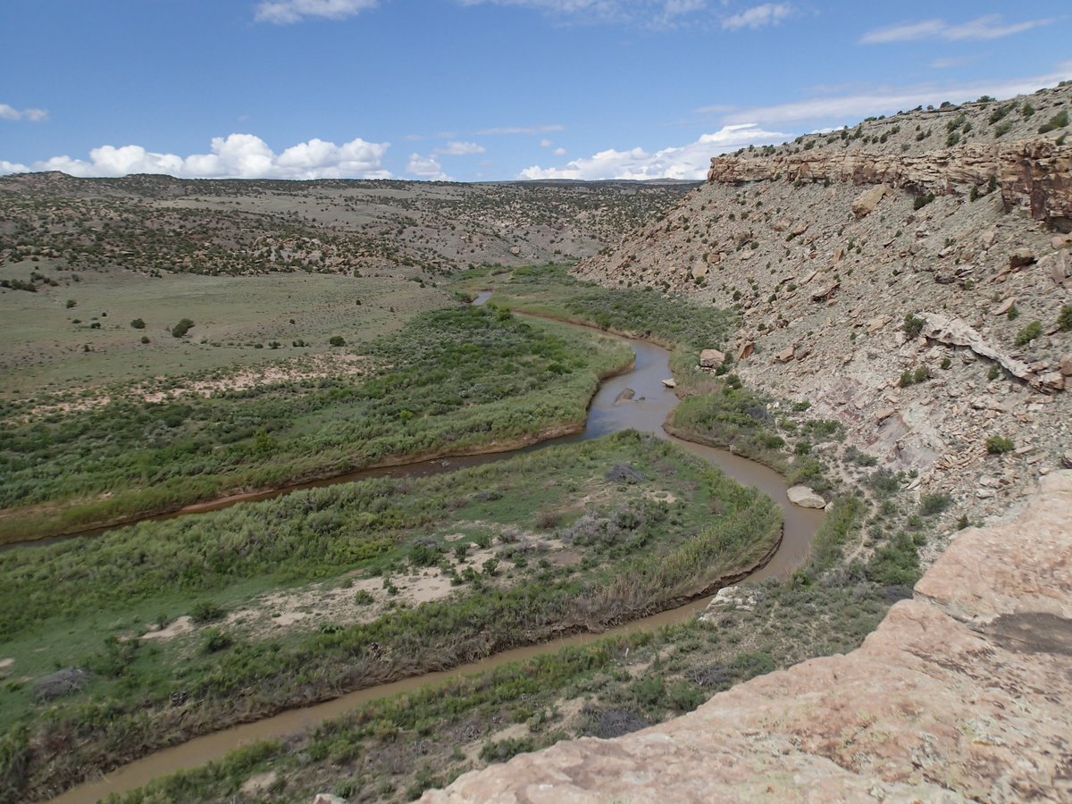 RobViehl's tweet photo. @CWCB_DNR recently received a decree for instream flow rights on 2 reaches of Disappointment Creek. Recommended by @BLM_CO, &amp; located near the Town of Dove Creek, these water rights will protect the creek's natural environment which includes roundtail chub &amp; flannelmouth sucker. https://t.co/1WJW01GbYL