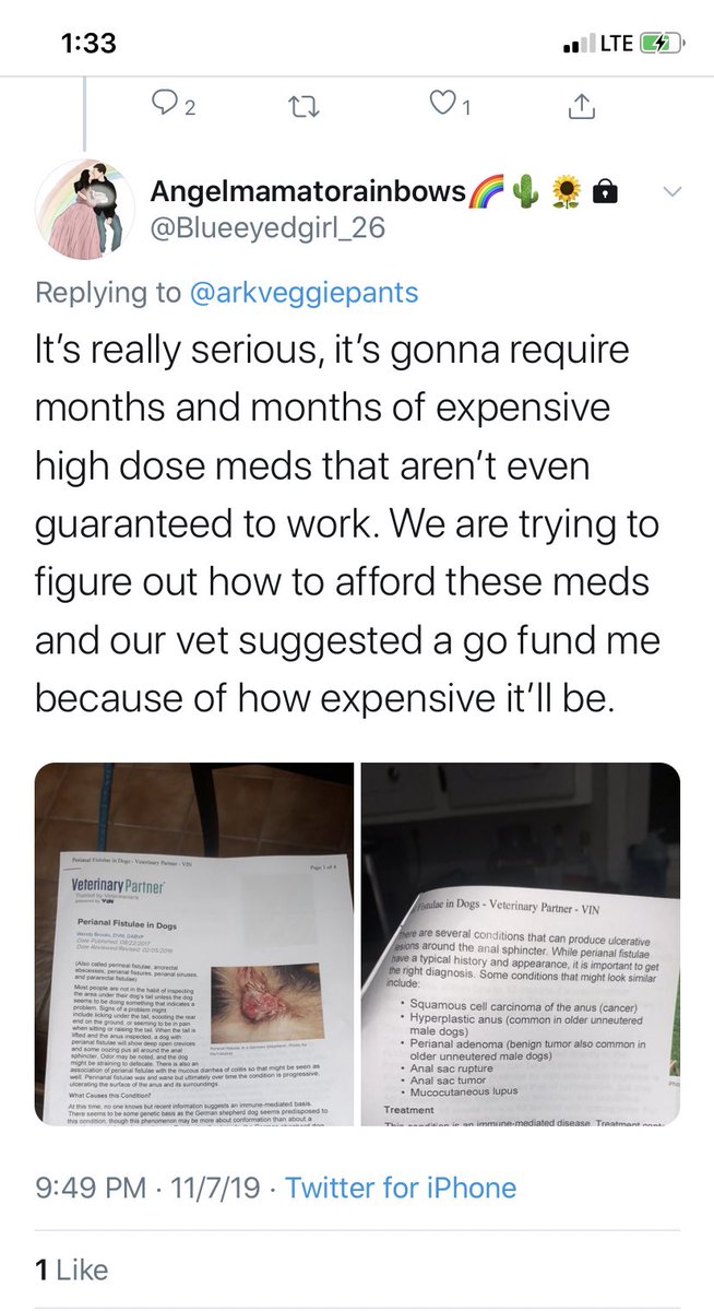 Let’s start with the gofundmes. She’s created a gofundme for everything from IVF to her dog, saying that her “vet suggested it.” After reaching the goal she updates it for more money!