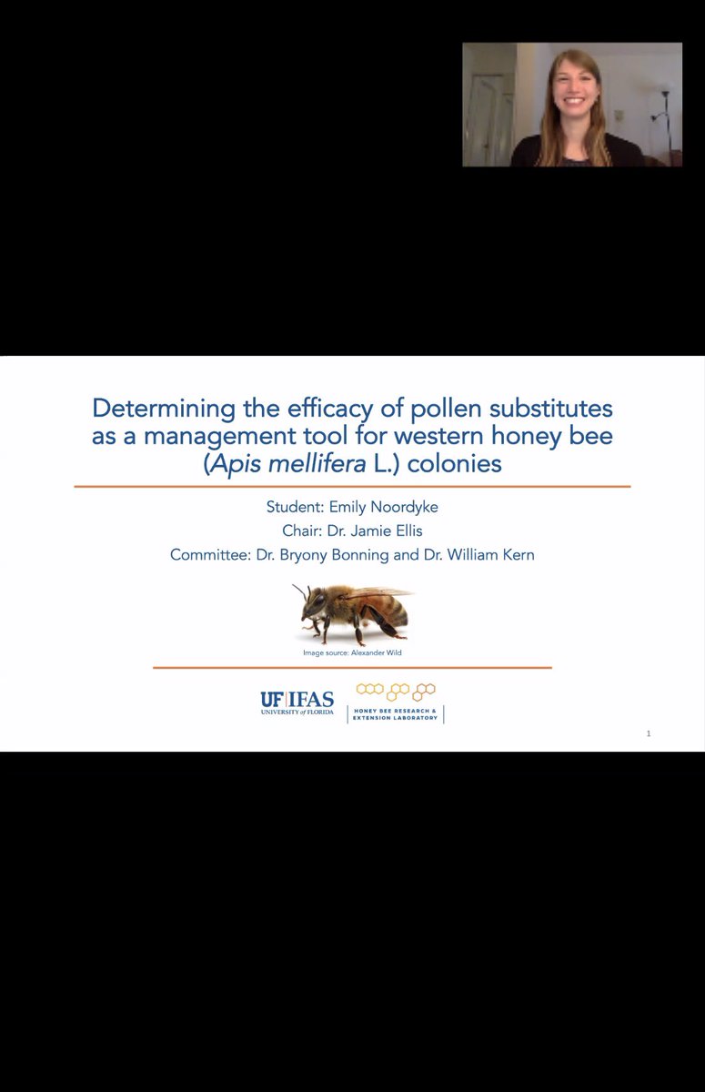 UFhoneybeelab's tweet photo. Please join us in congratulating graduate student, Emily Noordyke, on a job well done! This morning, Emily successfully defended her Master’s work focusing on the efficacy of pollen substitutes for western honey bee colonies. 🎉 #UFBugs #UFHoneyBeeLab #BeeLab #BeeSearch #Thesis https://t.co/GvdUaMg4ni