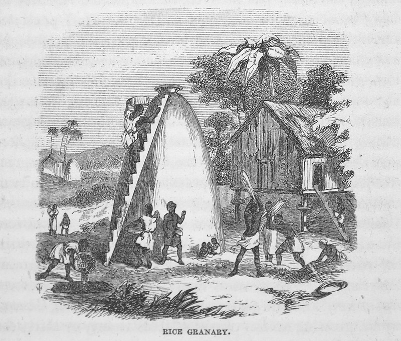 African Americans have an extensive relationship with the land and agricultural labor. Enslaved Africans had their own understandings/knowledge of land and agricultural labor prior to their forced migration to the Americas  #BlackLandMatters  #BlackFarmersMatter  #Blktwitterstorians
