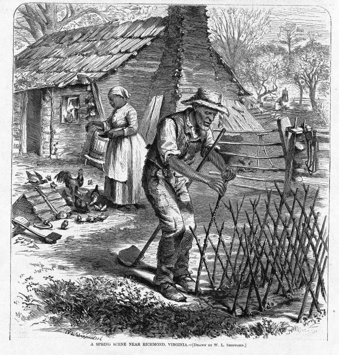 “Through their knowledge of African crops & their agricultural prowess, enslaved Africans supported the development of cash crops & commodities such as sugar, coffee, chocolate, & rice, as well as subsistence crops” (Freedom Farmers - Monica M. White)  #Blktwitterstorians