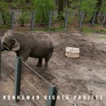 Photo by ProtectOurPlanetNow (@proplanetnow)