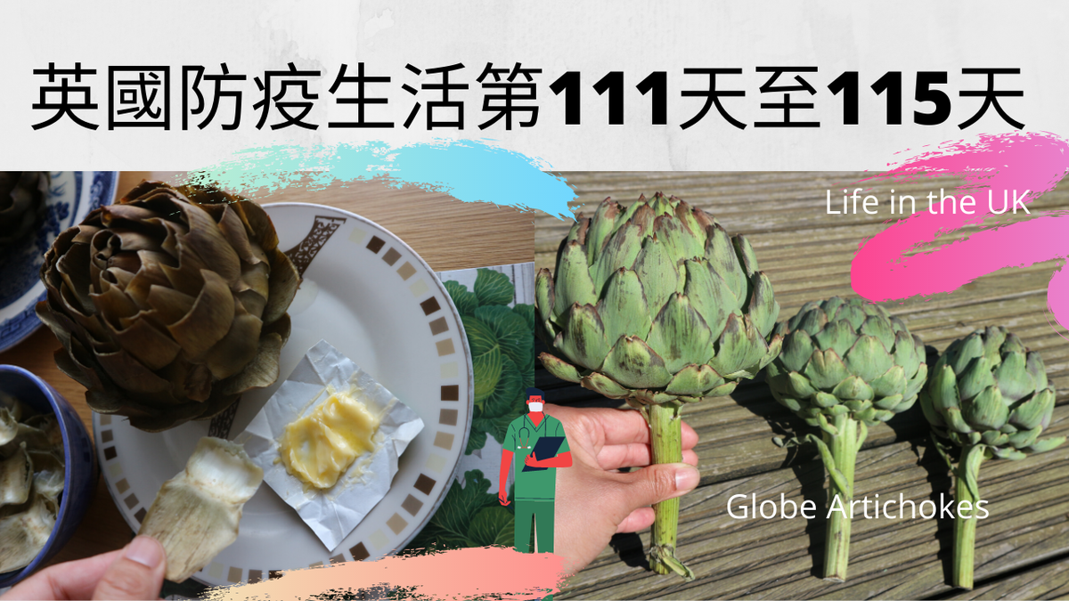 WENHSIartist's tweet photo. My life in the UK

https://t.co/0S4j4JEPTB

＃globeartichokes #artichokes #riverford #lifestyle #ceramics #train #lifeintheuk #mask #help #care #culture #youtube @YouTube #art #life #aristic #porcelainlegs #clayart #artists https://t.co/2n6SP5rv6r