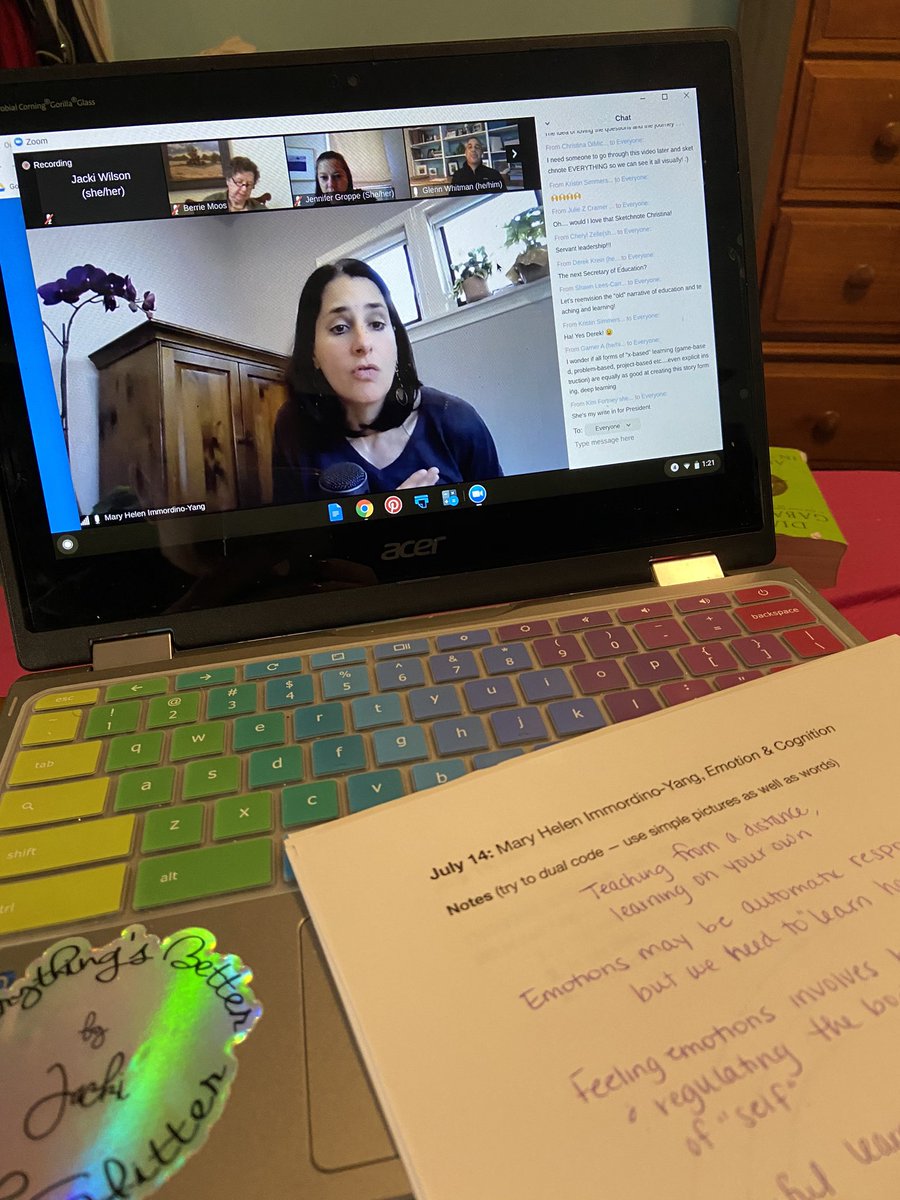 You want to see/hear passion? Mary Helen Immordino-Yang - amazing talk about Emotion and Cognition. #MBEDeepDive