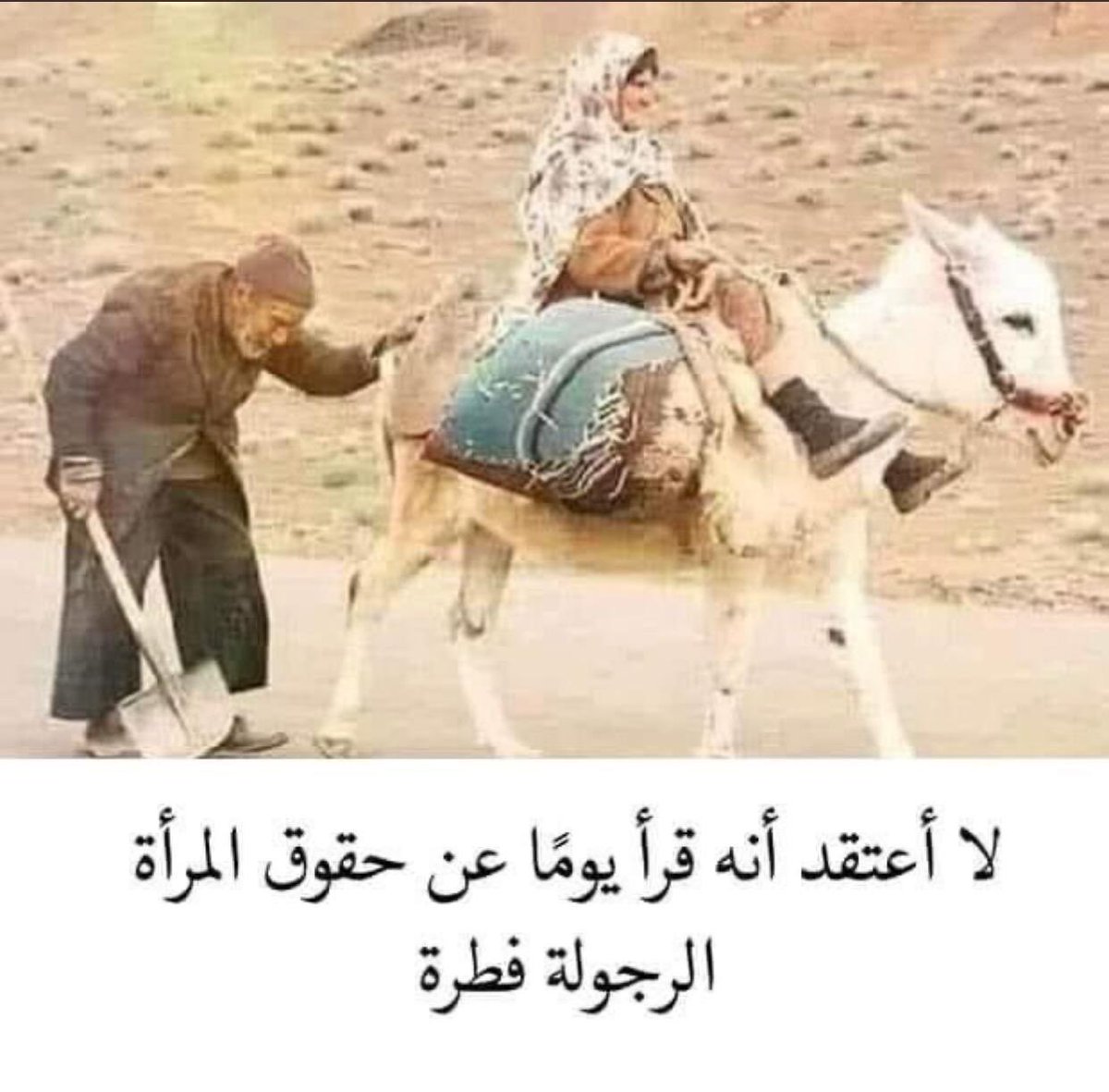 farmer_7's tweet photo. نعم أنها الشهامة بالفطرة https://t.co/P4YfJZO1gA