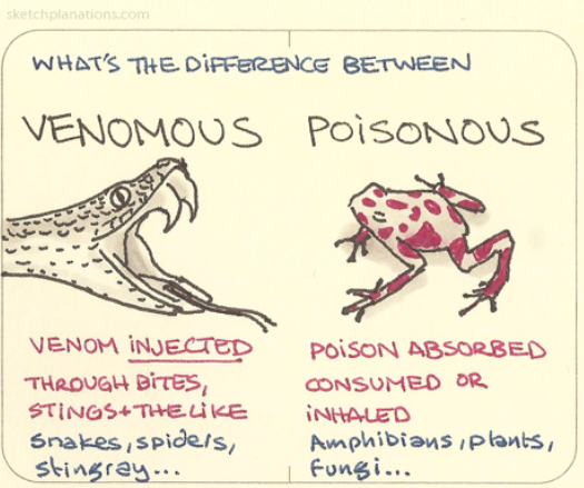 ClassofOwls's tweet photo. English lesson of the day 15/7: Venomous or poisonous?  Venom = injected through bites and stings.  Poison = absorbed, consumed or inhaled. https://t.co/V0DBrb79Z4