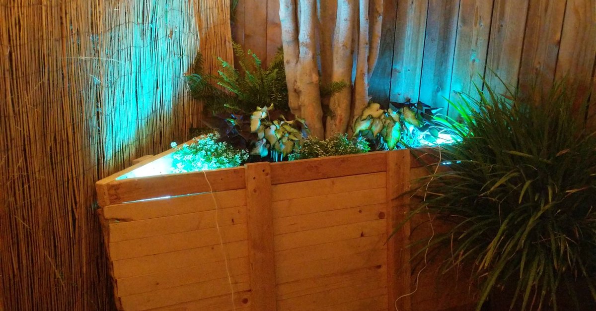 TRSmith234's tweet photo. Added more plants and uplighting 👌 https://t.co/FDfeevII7p