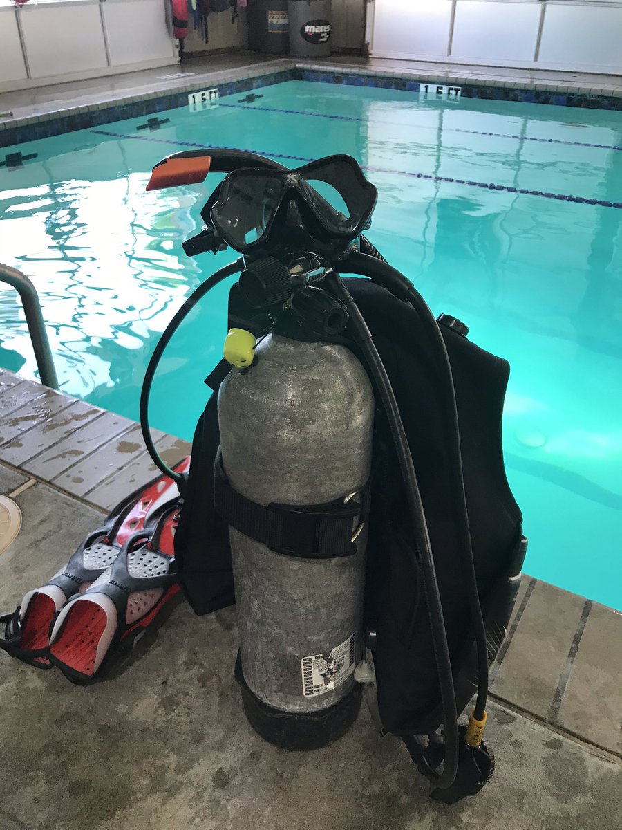 BetsyTorres21's tweet photo. Itβs. About. To. Go. Down! Todayβs the last day of pool session then itβs open water dives this weekend! #scubadiving #certifieddiver #veteran #lifewaters #gigglinmarlin #bucketlist https://t.co/sGO8TF1yMh