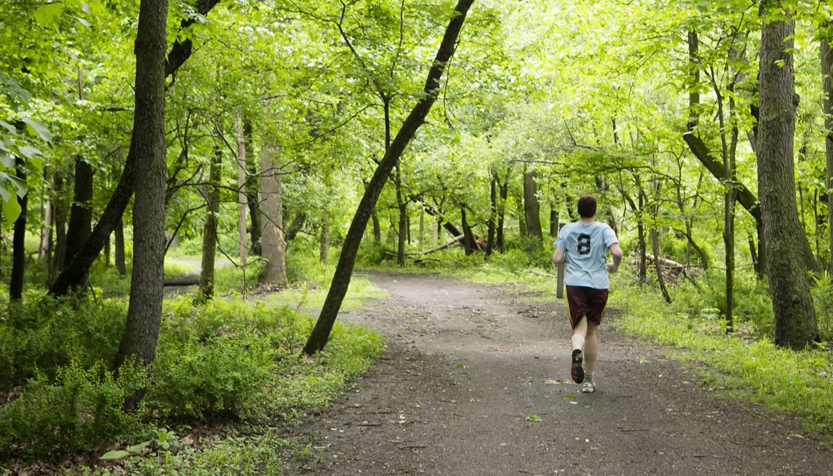 ForestPresFund's tweet photo. To celebrate #NationalForestWeek, today we are recommending you hike the Des Plaines Trail System. It follows the Des Plaines River through the western suburbs and runs 28 miles from Potawatomi Woods to Jerome Huppert Woods. https://t.co/6CuyJyDC8s

#NatureInvites #CookCounty https://t.co/5xtIlKROGT