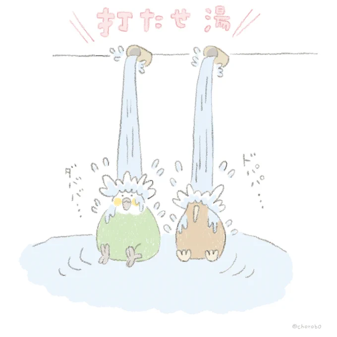 打たせ湯が思ってたのとなんかちがったカカポとキーウィ。

#カカポ
#キーウィ
#イラスト好きさんと繋がりたい 
#イラスト 
#鳥が好き 
#銭湯 
