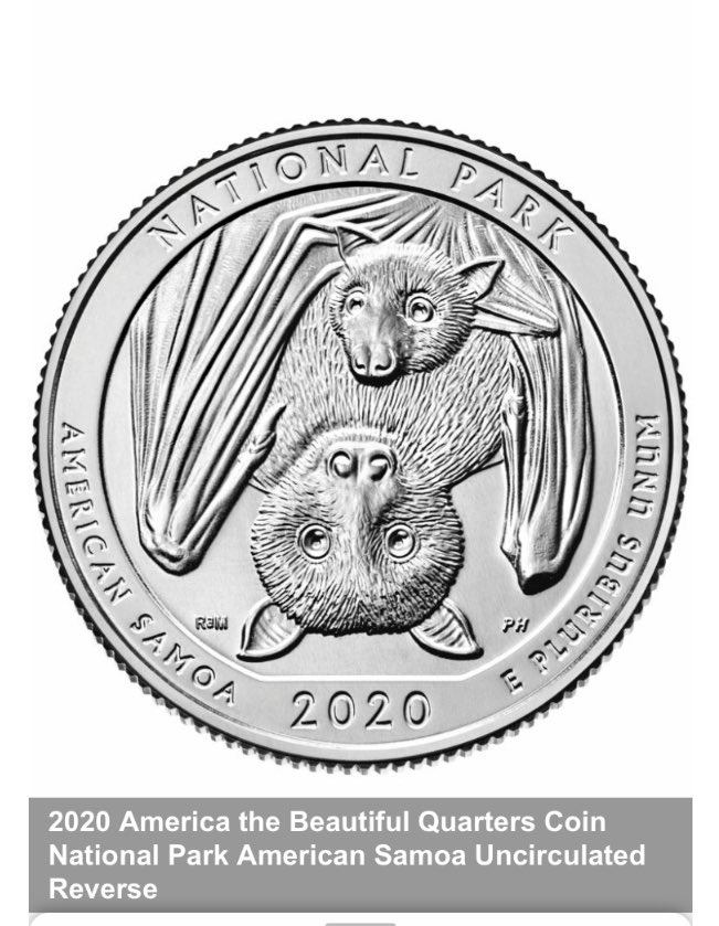 George4Palomino's tweet photo. This is the new 2020 US Quarter, it has bats on it #COVID19 #USQuarter #BatQuarter #USA @Franksclafani5 @kanyewest @ursopacos https://t.co/YNGGcJOuAN