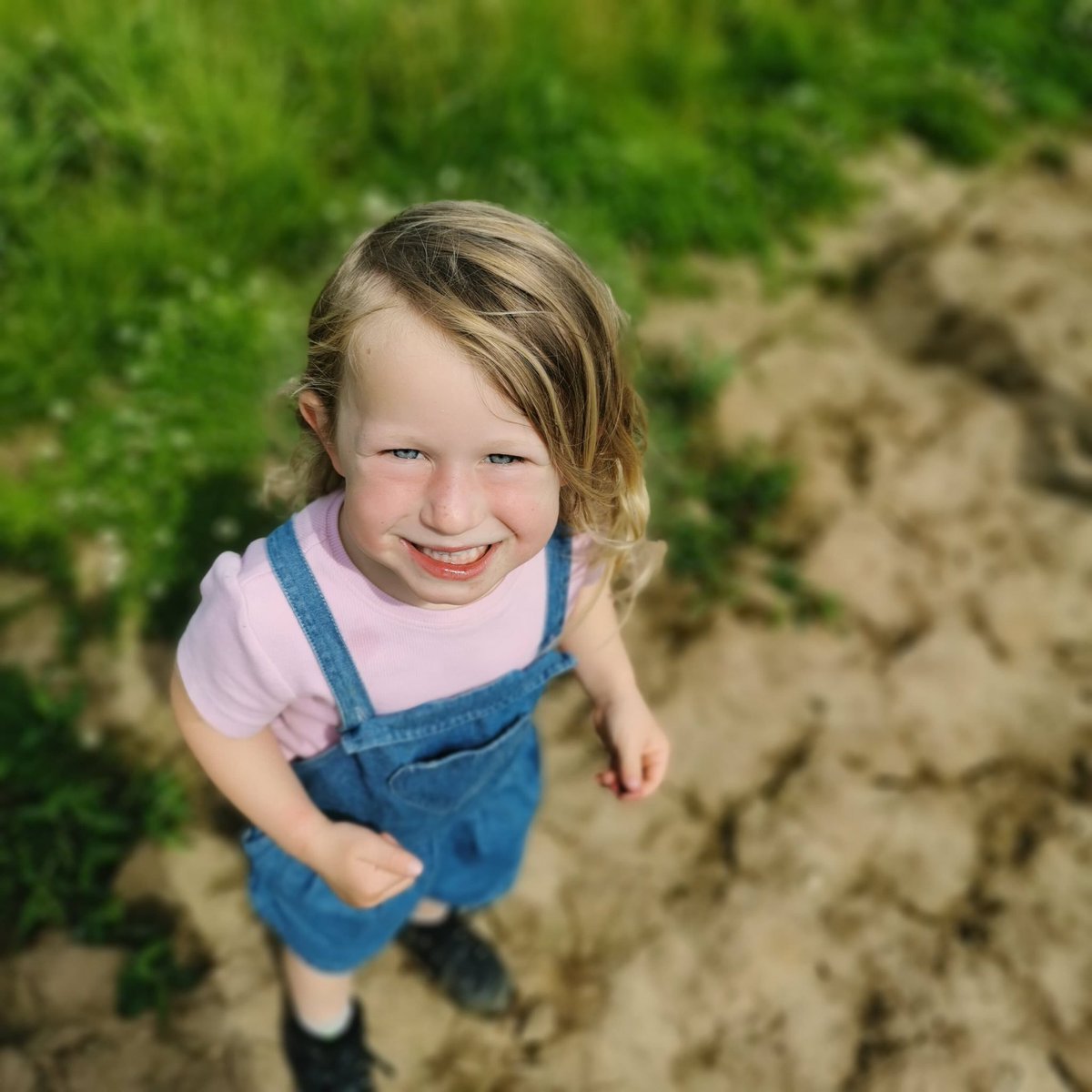 Gemmastones2's tweet photo. Theses 3 are always in a feild and always up to no good. we have another 7 weeks before theses 3 return to school lets see how many more memories we can make @WonderfulWrens @GilberdykeRocks @kingfishers2020 @StarlingsGPS https://t.co/Yx3PjAmhsD