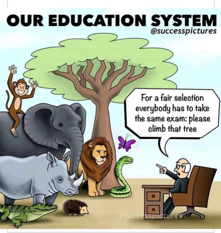 Seaviewbasic@hotmail.com tweet media