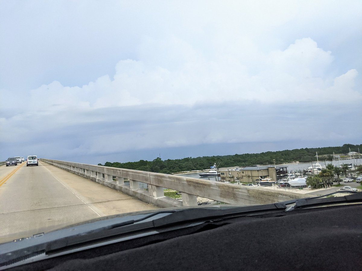 Sarah Padgett tweet media