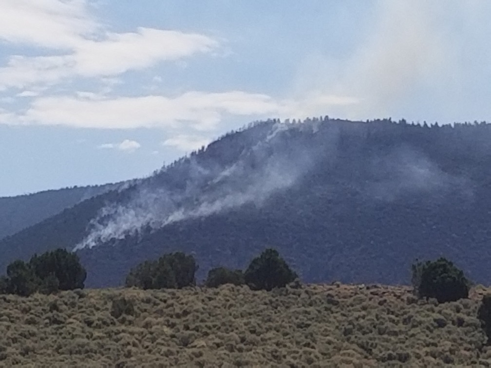 UtahWildfire's tweet image. A photo from earlier today, July 14,  shows the #AllenFire, which is burning in rugged terrain near the Utah-Colorado state line in Daggett County, Utah. #blmgl

Photo credit: Utah Division of Forestry, Fire and State Lands