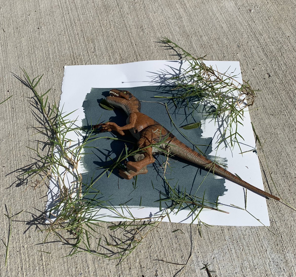 m_hauske's tweet photo. Perfect weather for Cyanotypes! Also an awesome way to sneak in art and science on a hot summer day #ArtAtHome #MakePredictions #Experiment #Play https://t.co/UJrvVAM286