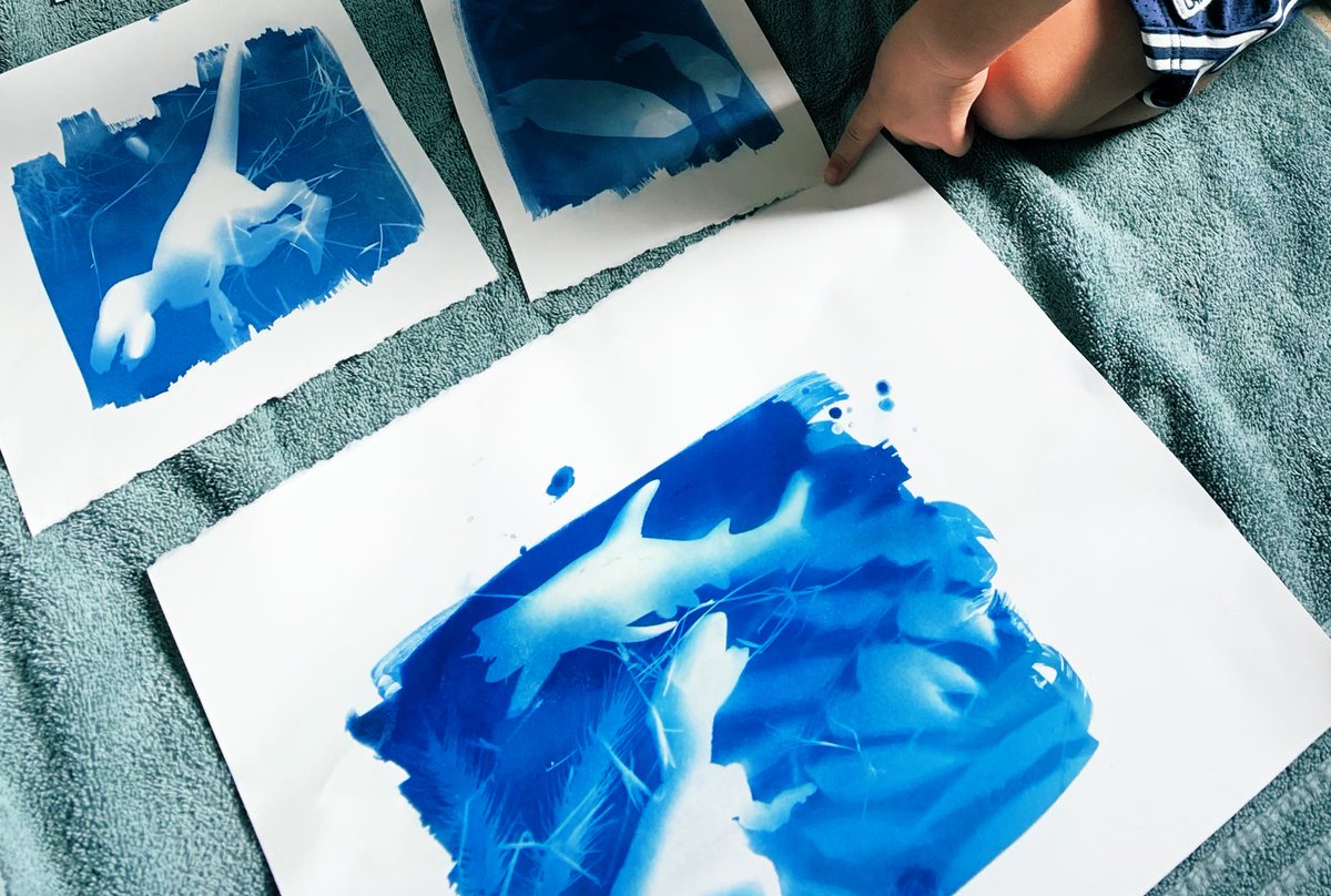 m_hauske's tweet photo. Perfect weather for Cyanotypes! Also an awesome way to sneak in art and science on a hot summer day #ArtAtHome #MakePredictions #Experiment #Play https://t.co/UJrvVAM286