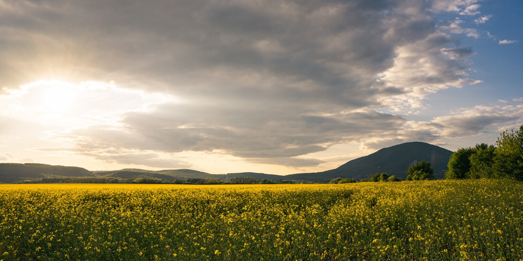 BC Agriculture Council tweet media