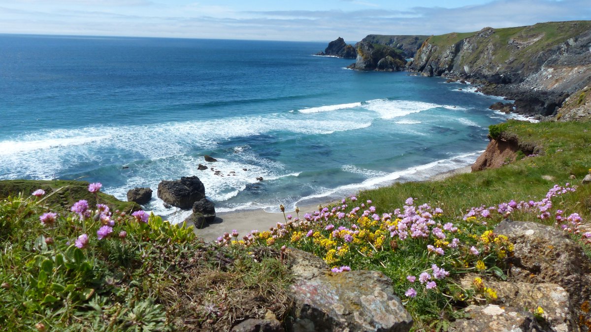 Dr M still going wild! tweet media