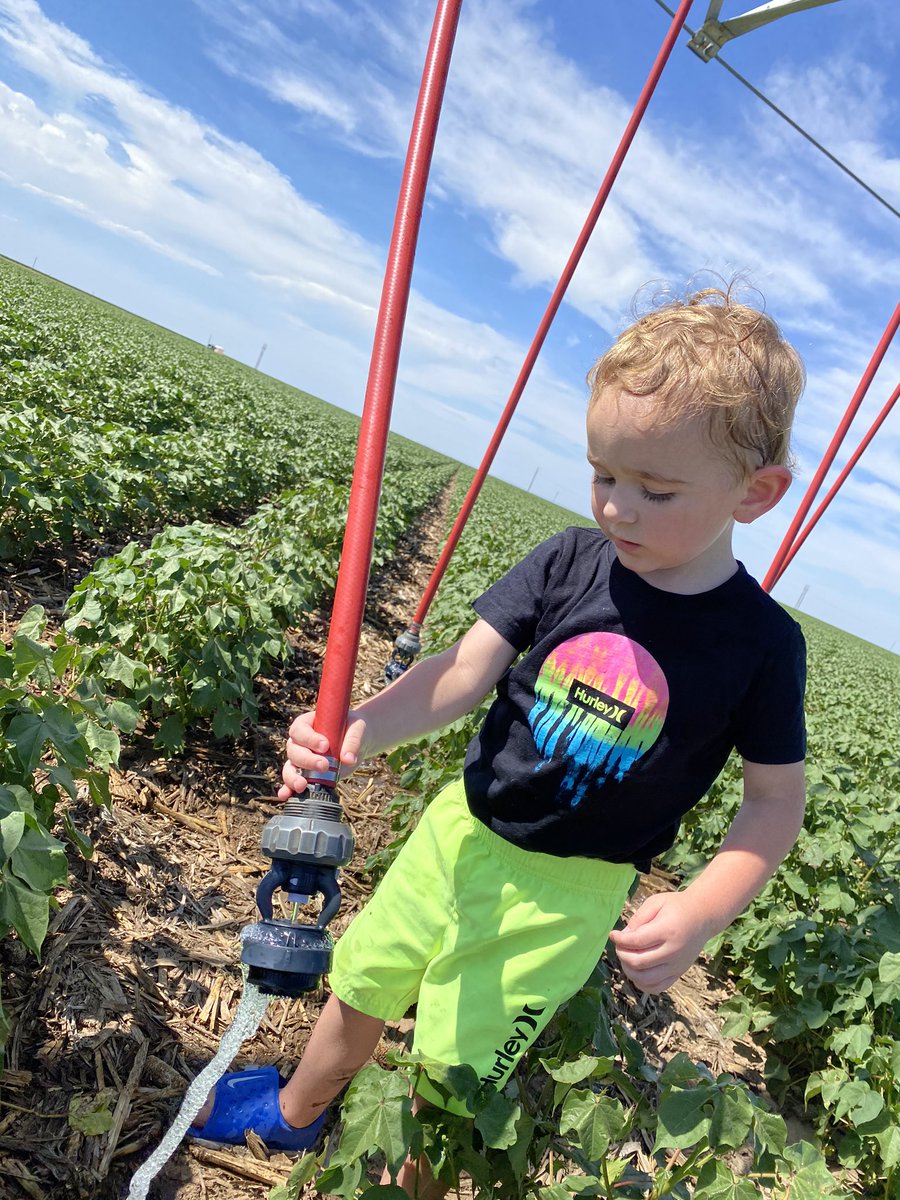 Had a meeting with the Irrigation Supervisor today, he says it looks GOOD! #americancotton #firstclassfarmer