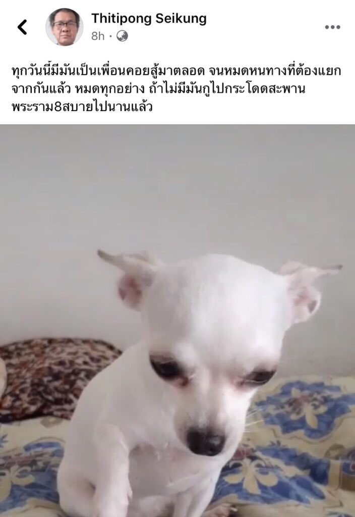boobootaetaee's tweet photo. ลุงคนนี้น่าสงสารมากตอนนี้แกเหลือแค่หมาที่คอยค้ำจิตใจไว้อ่ะกุจะร้องไห้ช่วยลุงแกหน่อยนะ😭😭😭  #รัฐบาลหัวควย https://t.co/uUlksoMqw2