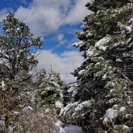 New sleepscape in the Dreamear app, "Chicadee's Creek". Set your mind at ease with these soothing nature sounds, seamlessly looped for your relazation. Download here
travelear.page.link/Dreamear

#sleepscape #dreamear #travelear #naturesounds #sleep #relax #meditation