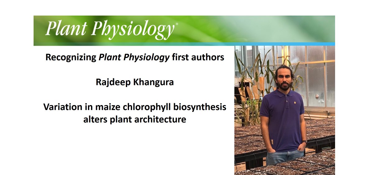 Plant Physiology tweet media
