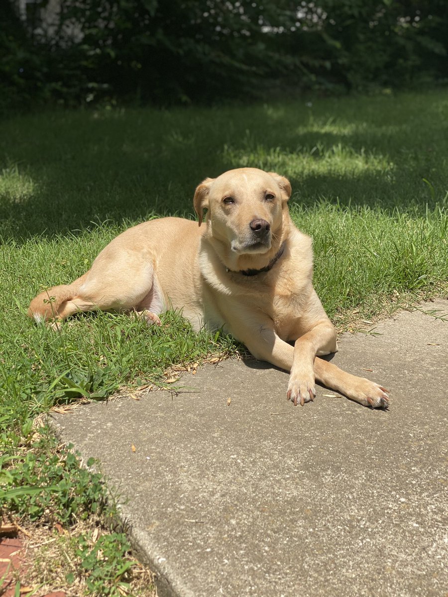Paws crossed and teeth flossed