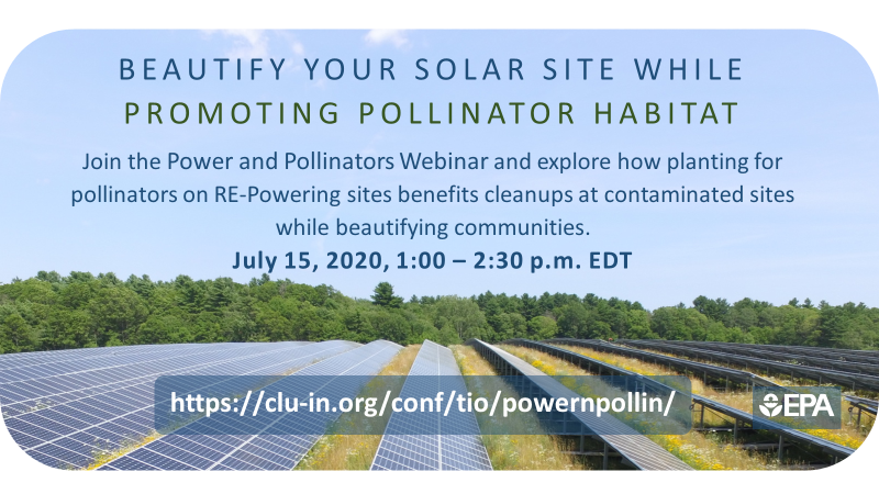 bconeorg's tweet photo. Tomorrow! 7/15/20
RE-Powering America's Land Initiative Hosts Webinar: Power and Pollinators. Examine how planting for pollinators on RE-Powering sites can help protect cleanup remedies in place and provide much needed pollinator habitats. 
Register: https://t.co/IMKubcQh3L https://t.co/vhd3fDMnTa