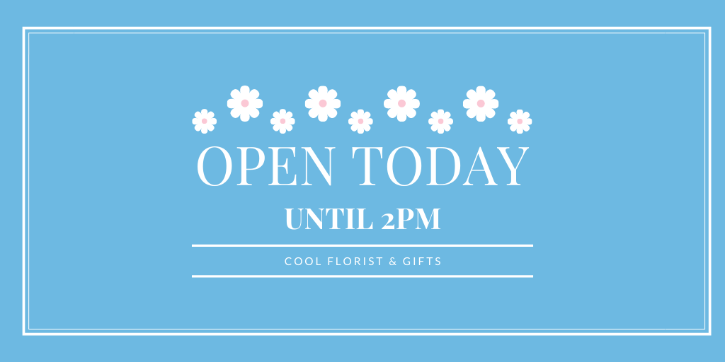 CoolFlorist's tweet photo. We're OPEN today!  Stop by and say Hi to Rosie.  She'll be in the shop until 2 PM today.  #ShopLocal #CoolFlorist #ElDoradoCounty #TheDivide #CoolCA https://t.co/TivGrUKfQ0