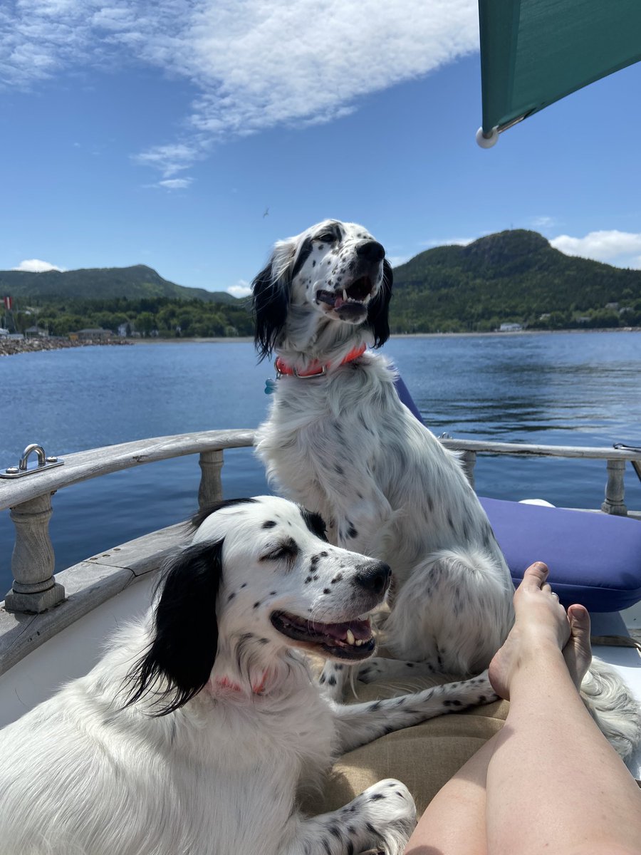 Boat life is the best  life ❤️