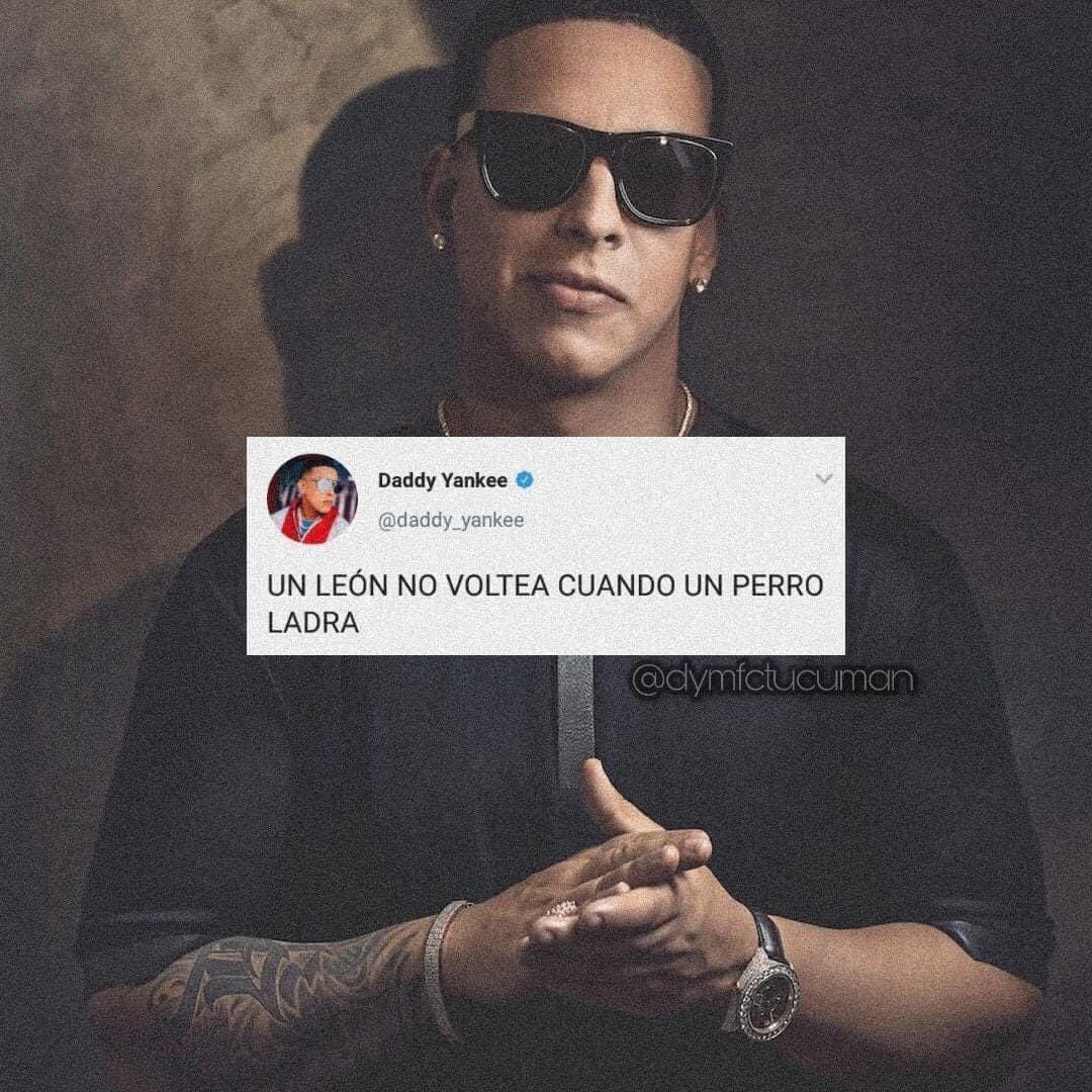 “Donde pisa leona, no deja huella una gata” 💅🏼
-Daddy Yankee Rivera