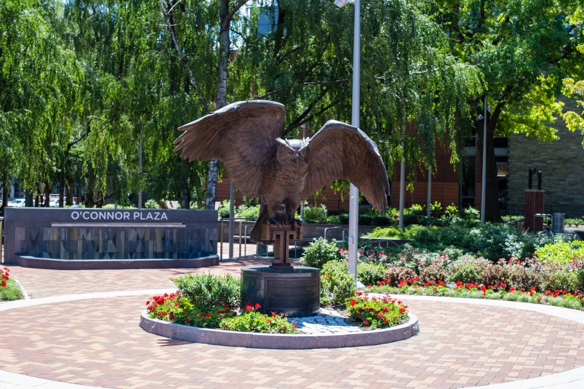 TempleOwls's tweet photo. Summer in the city ☀️🦉 https://t.co/MoLXB520ES