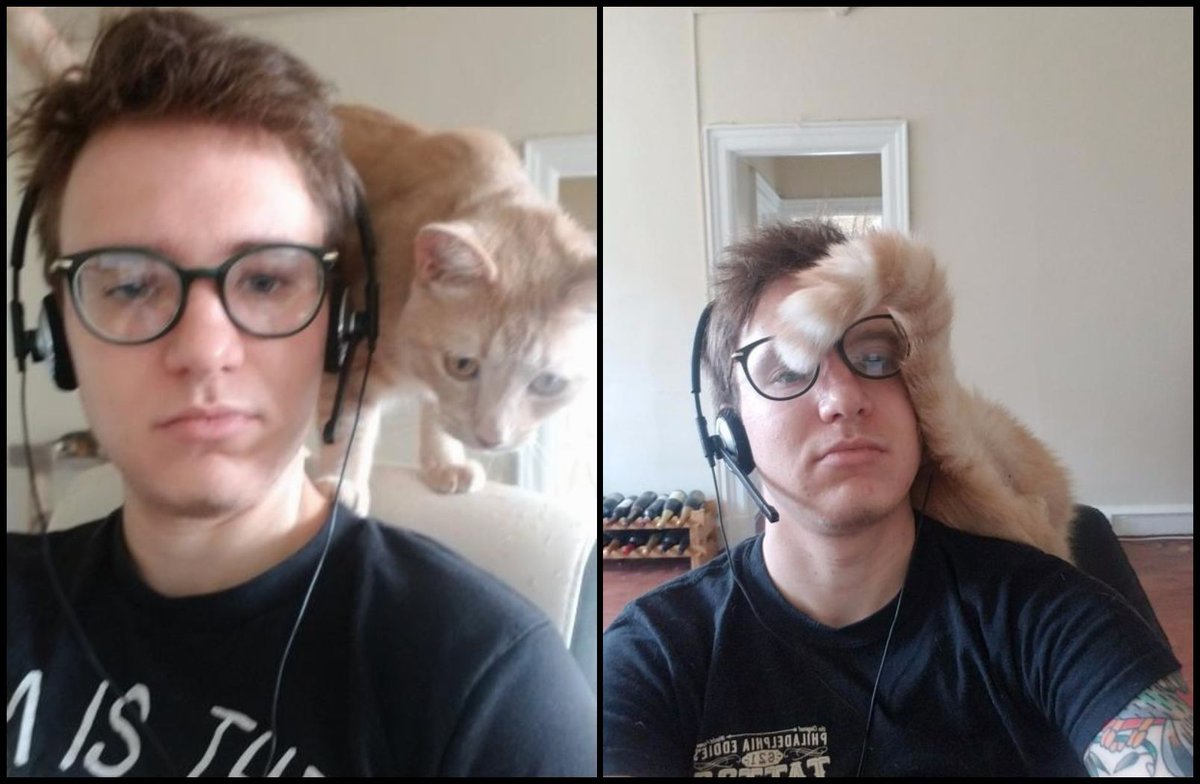 myASDcalls's tweet photo. Working from home definitely requires one to have the right kind of cat-itude. Just ask ASD Call Specialist, Theodore Grajewski who captured what is purrhaps the best “working remotely” selfie photo of all time. #CatPuns #RemoteWork #TeamASD #KittenAround https://t.co/jGirqXWADW