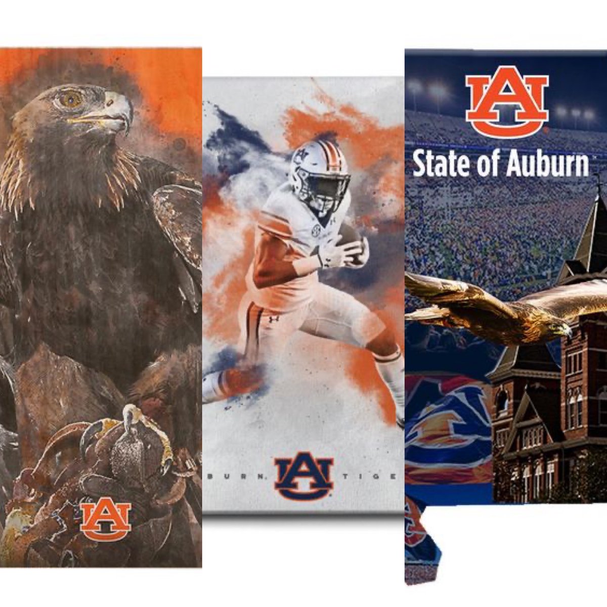Did you know War Eagle is Auburn’s Battle Cry and not a nickname or mascot? The image on the left of the eagle on wood is amazing. See all our products at collegewallart.com.
