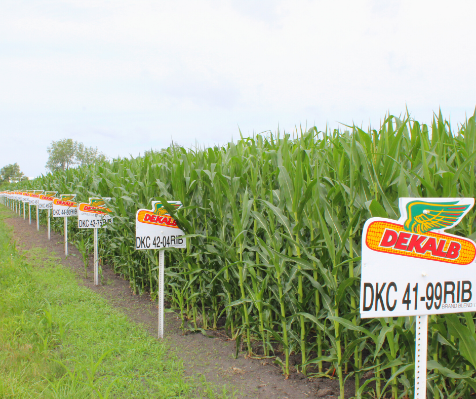 Central Counties Cooperative tweet media