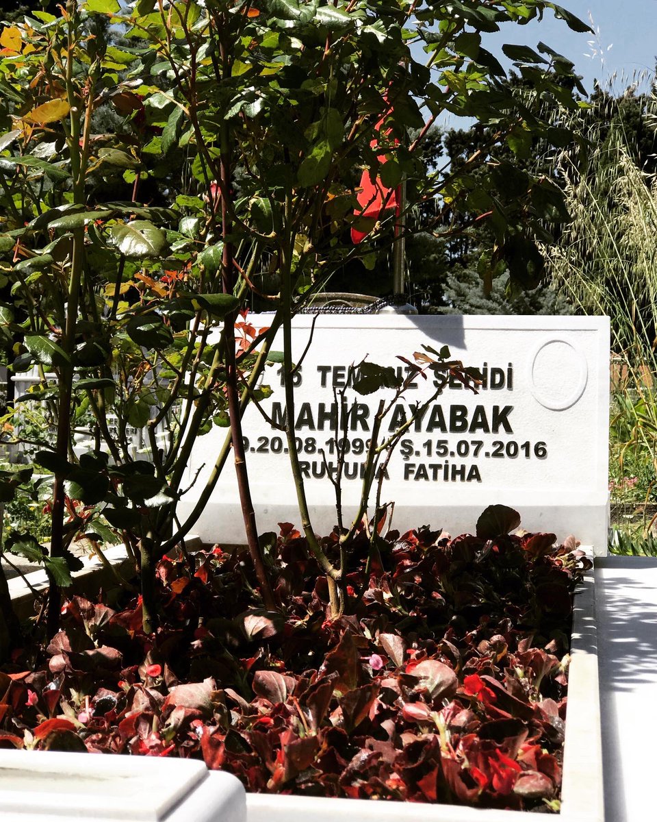 gulbeyaz_13's tweet photo. Yüzüne, sesine, tenine, kokuna hasret 4 yıl! 
Sensizliğin 4. Senesi.. 
“1,2,3,4..... Bu acı bir ömür böyle devam edip geçer mi? Daha ne kadar sayacağız sensizliği? Nerdesin? Ne yapıyosun? Acaba nasılsın? Kavuşabilecek miyiz? Yoksa herşey sadece dünyada mı kaldı? https://t.co/v7kA7WyjPB