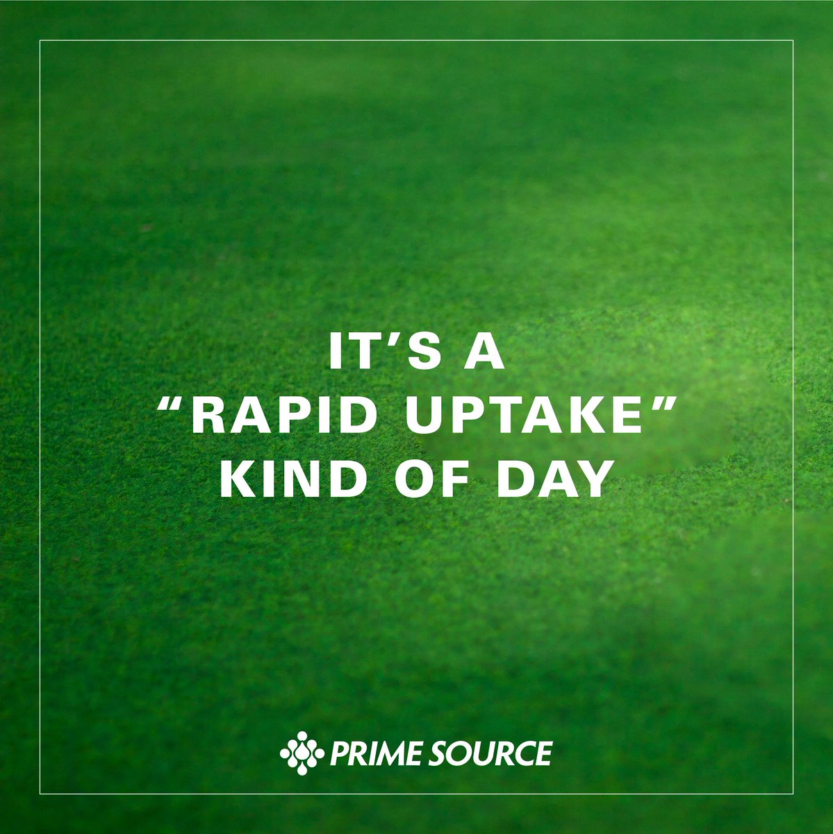 AlbaughTurf's tweet photo. Our Triad TZ Select is a selective, post-emergent broadleaf herbicide that provides rapid uptake to stop weed growth within hours of application. 

#PrimeSource #PrimeSourceProducts #TriadTuesday #TriadTZ #WeArePrime https://t.co/VdycqozIoW