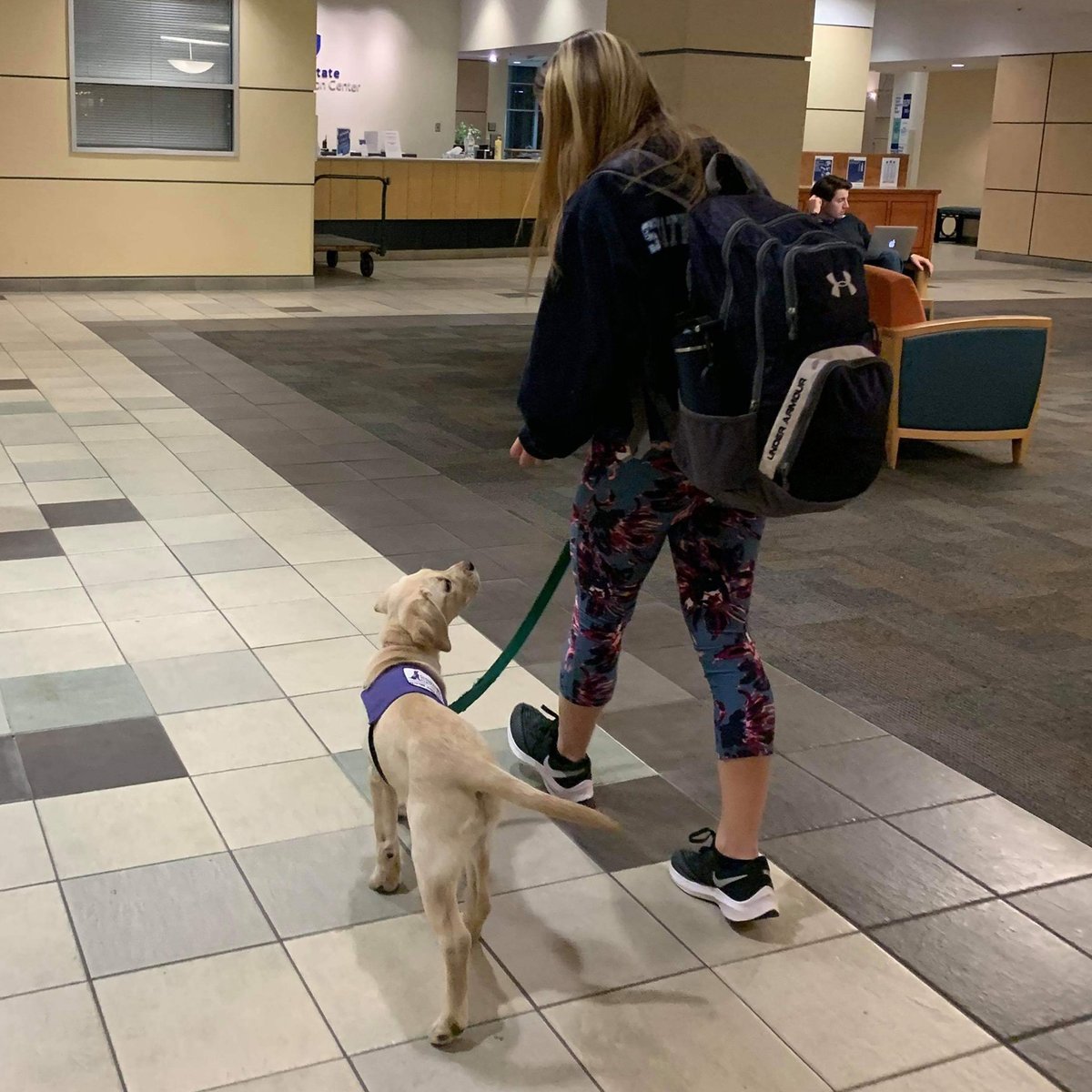 ssdroarformore's tweet photo. Tomorrow is the last day to get out and #WalkForSSD. The @SSDOGS @Highmark Walk for a Healthy Community ends tomorrow, Wednesday, July 15.
Register to walk or donate today:
https://t.co/gVk5ZAjfjw
@SSDOGS at @penn_state #DogsChangeLives https://t.co/TaZND1W1DS