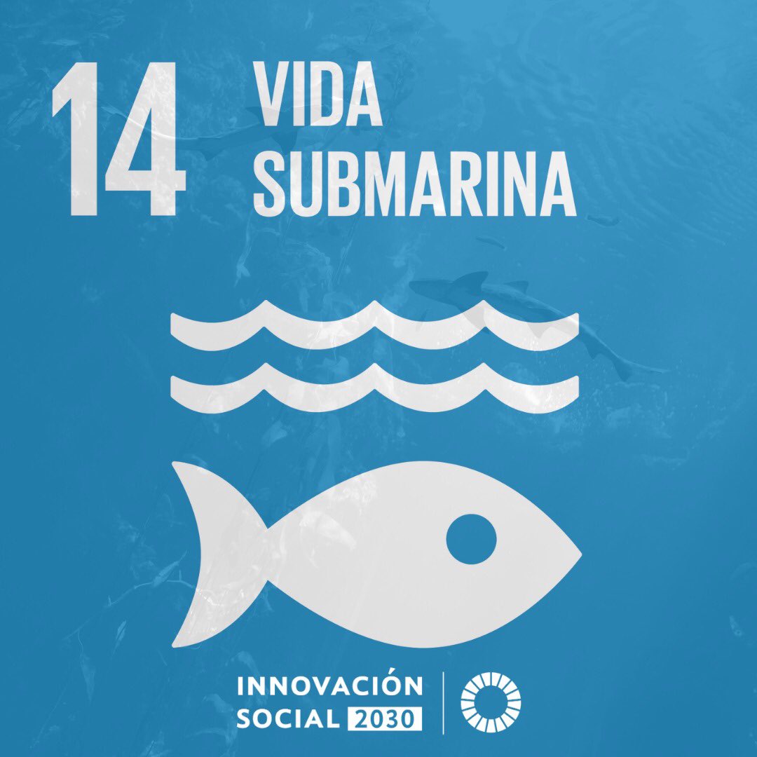 Innovación Social 2030 tweet media