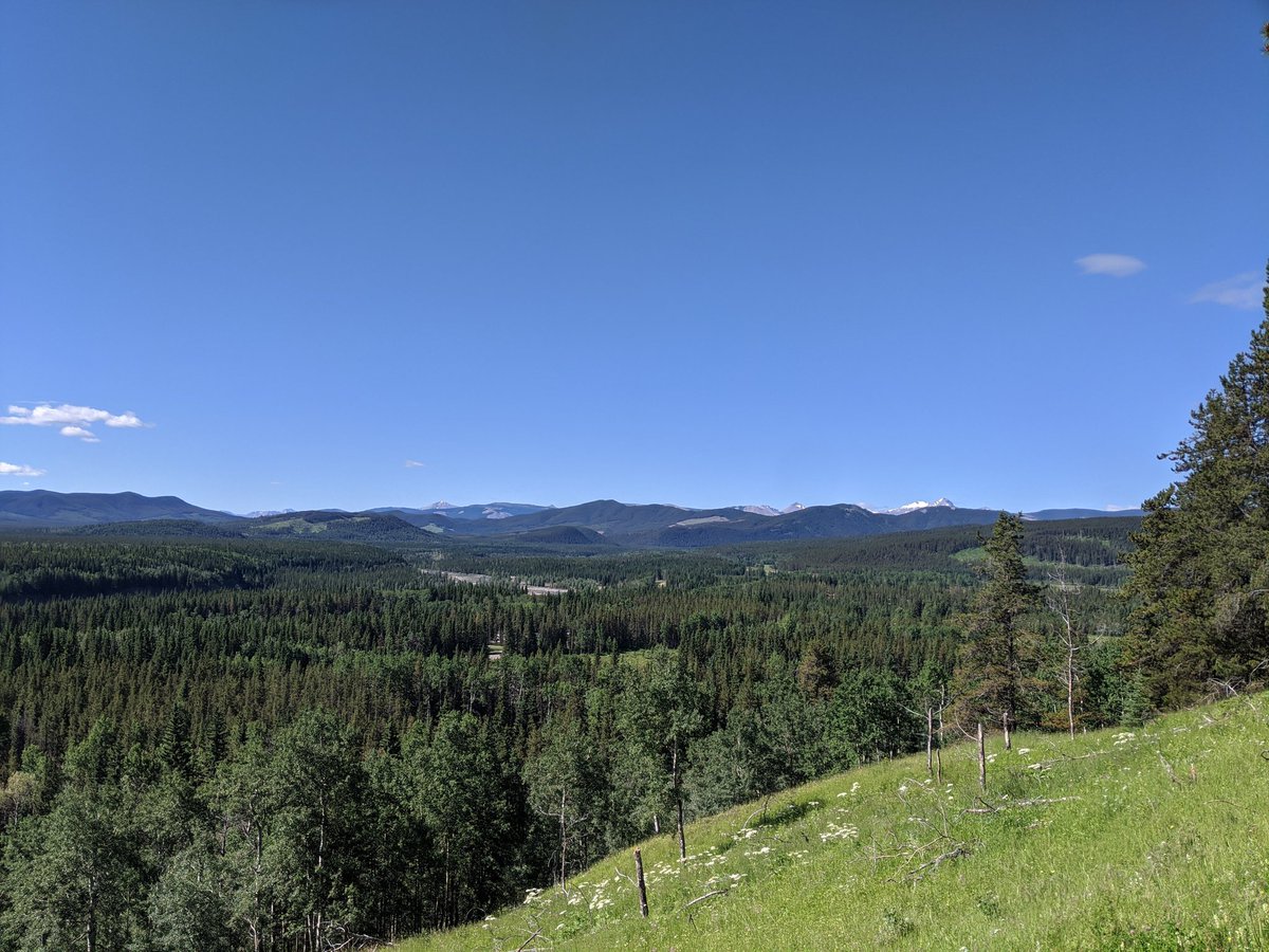 Stretching things out with a 6.5km/200m elevation gain hike around Fullerton Loop in Kananaskis. I took the steeper clockwise route and put my work in! #MentalHealthHikes