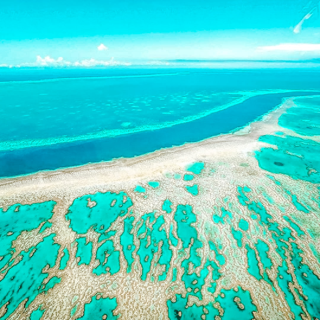 mateeducation's tweet photo. 😍 Parece de película ¡pero no! ☝️ existe y está en Australia. Las #whitsundays son el paraíso ideal que tendrás que ver con tus propios ojos.

📷 @rachlitravels

#australia #exploreaustralia #aussiestudents #makeaustraliatheexperience #mateeducation https://t.co/w1oe15qJzS