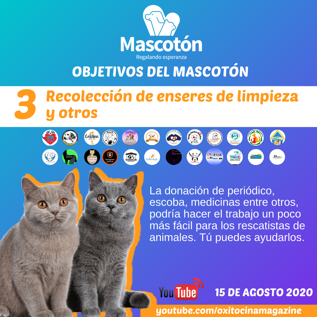 Mascotón tweet media