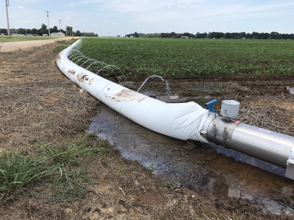 StewartRunsick's tweet photo. First irrigation on the Clay County irrigation contest field. @AginArk @UAEX_edu @cghenry_UA @uaexclaypiggott https://t.co/gkKeiNkfKq