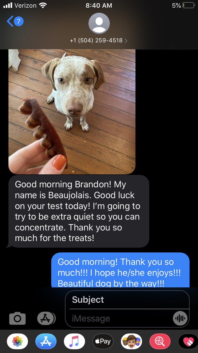Brundon_Davey's tweet photo. This is how you make friends with dog neighbors when you need peace and quiet 🤫 #dogsofcovid https://t.co/5PQlQtFIuN