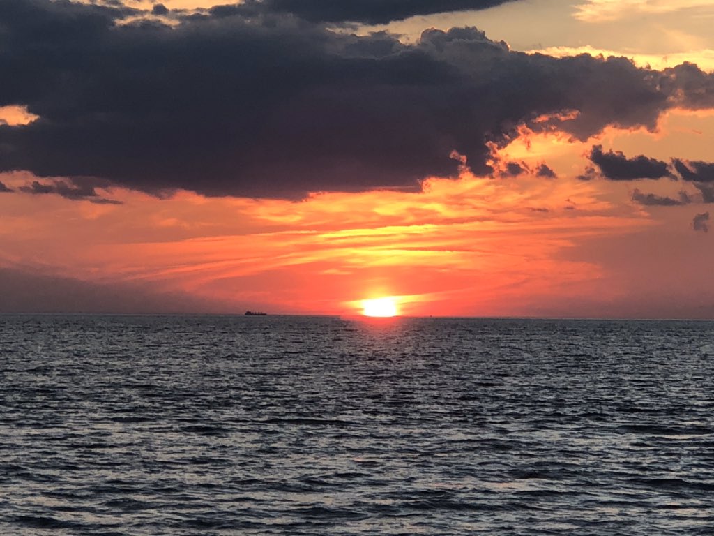 Miss Beverly ☀️🙏✨🐝 tweet media