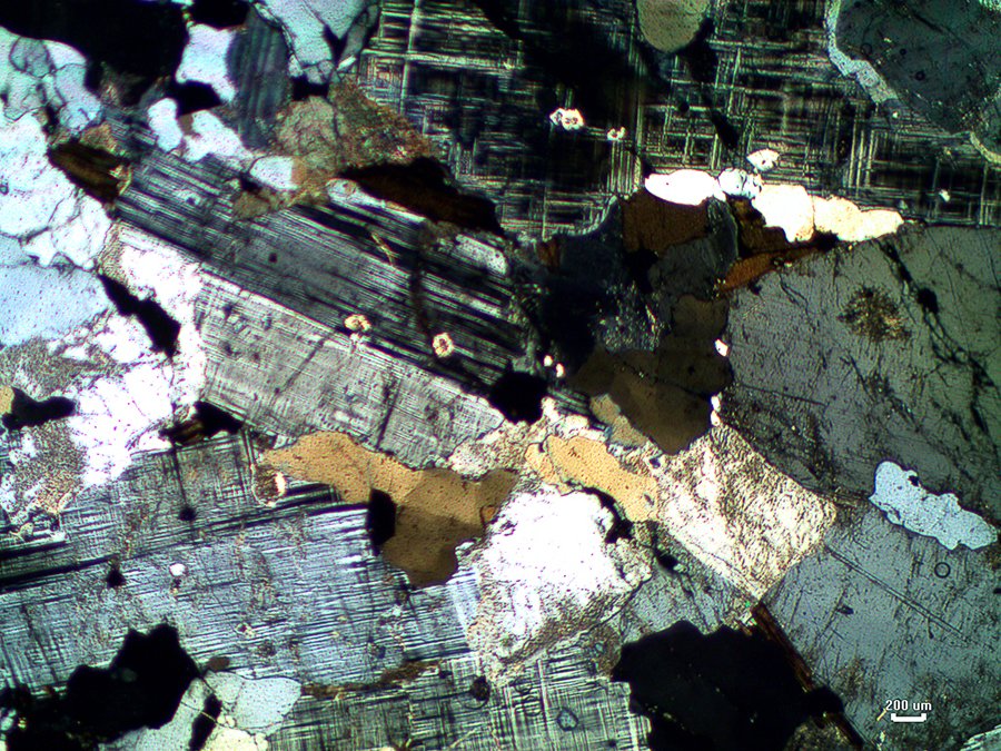 GeoLiverpool's tweet photo. What you see in thin section - see the new videos on our YouTube Channel - &amp; on our website! https://t.co/x3dOV3WGye