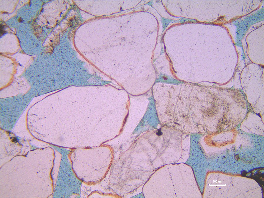 GeoLiverpool's tweet photo. What you see in thin section - see the new videos on our YouTube Channel - &amp; on our website! https://t.co/x3dOV3WGye